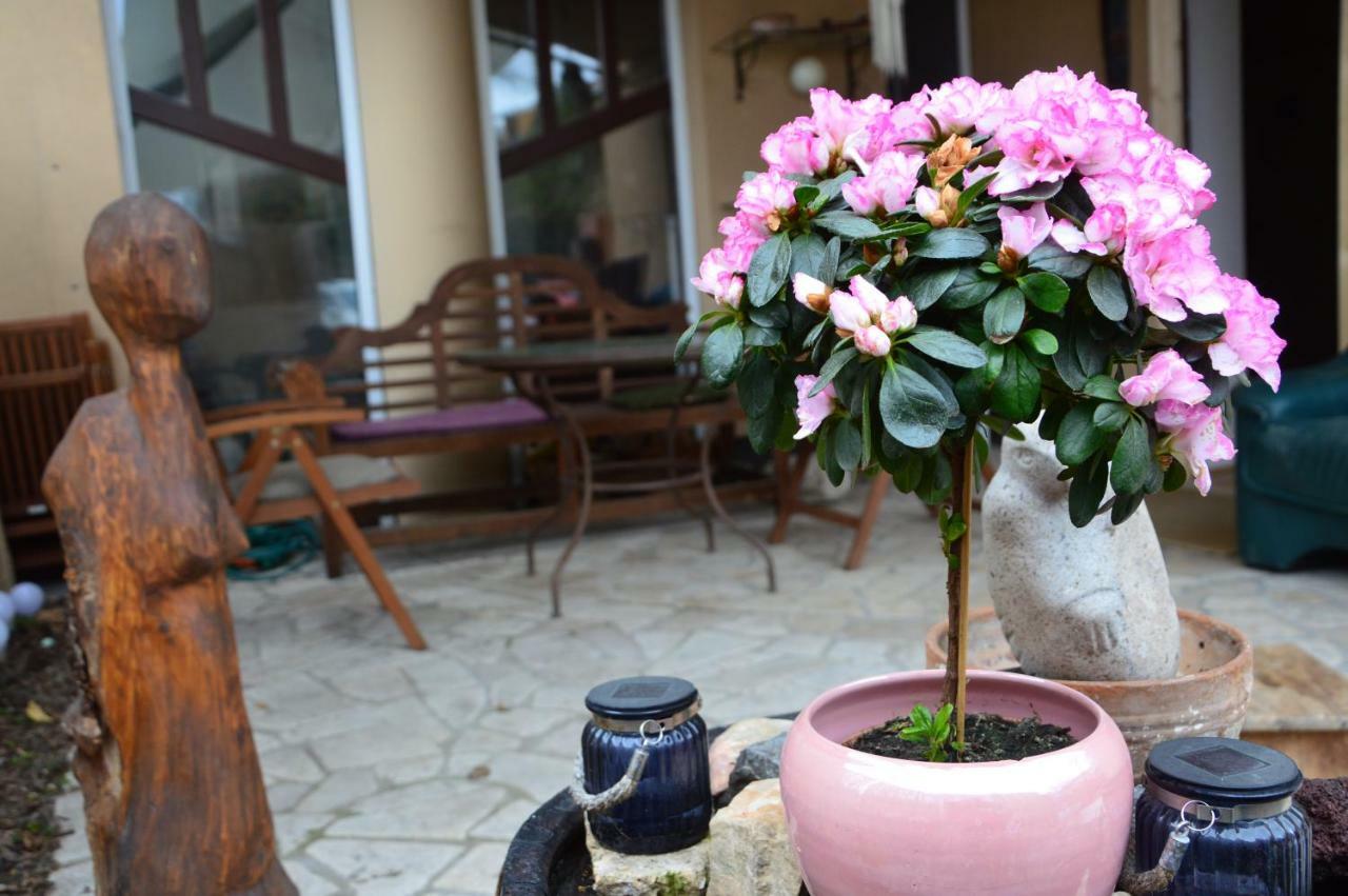 Art Styles Boutique Apartment סנטאנדרה מראה חיצוני תמונה